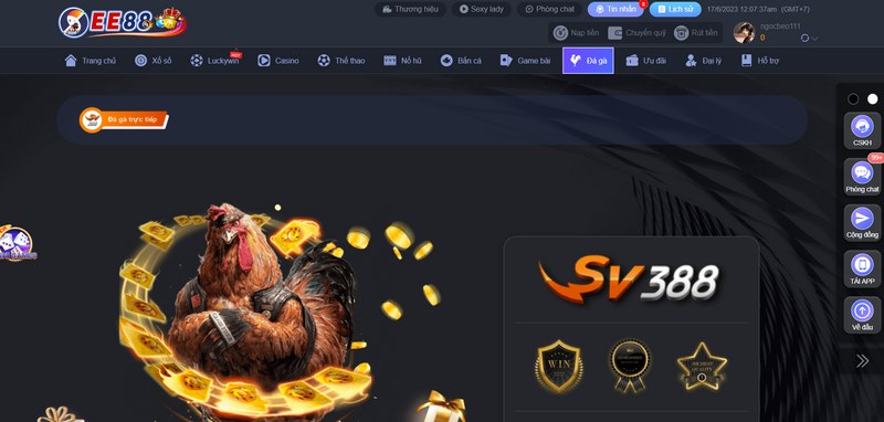 Cá cược đá gà mang đến cho anh em nhiều giây phút thăng hoa